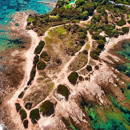 Hotel Les Palmiers 3*