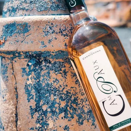 Les Palmiers סן-מקסים