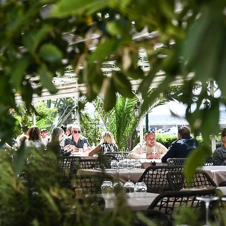 Les Palmiers סן-מקסים