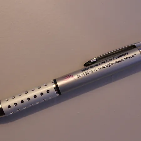 Les Palmiers מלון 3*