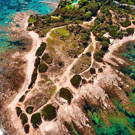 Les Palmiers Hotel 3*