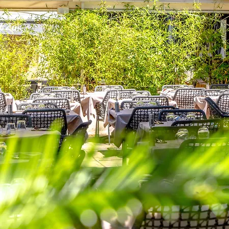 Hotel Les Palmiers 3*